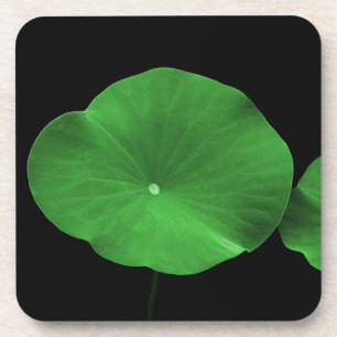 Dessous-de-verre Lotus Feuilles