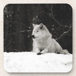 Dessous-de-verre Loup de Neige