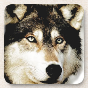 Dessous-de-verre Loup motivationnel unique