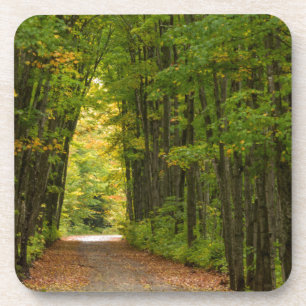 Dessous-de-verre Lumière Au Bout D'Un Tunnel D'Arbres