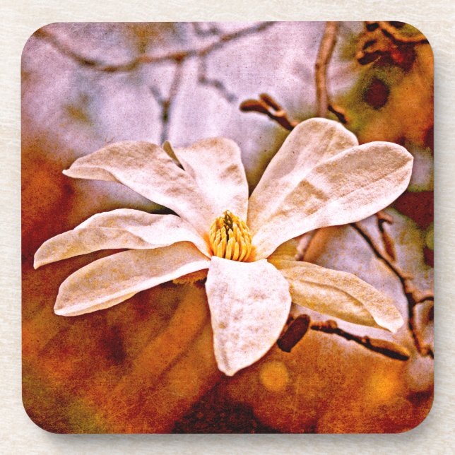Dessous-de-verre Magnolia (Devant)