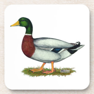 Dessous-de-verre Mallard Duck Drake