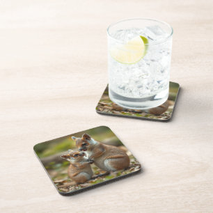 Dessous-de-verre Mama Et Bébé Quokka Leçons De Vie,