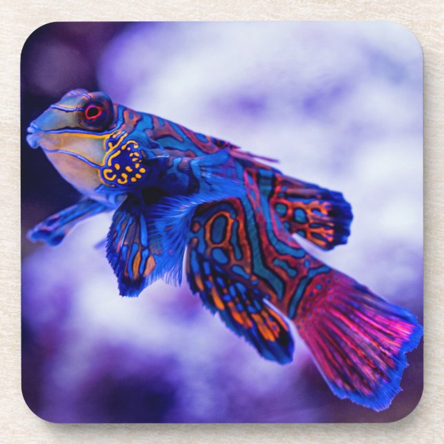 Dessous-de-verre Mandarin Goby Poisson Beverage Coaster (Devant)