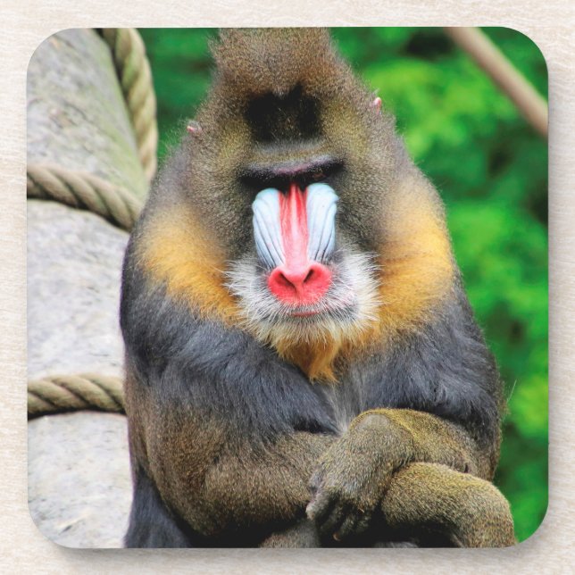 Dessous-de-verre Mandrill 001 (Devant)