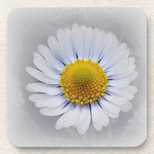 Dessous-de-verre marguerite blanche brillante