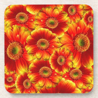 Marguerites de Gerbera jaune et orange