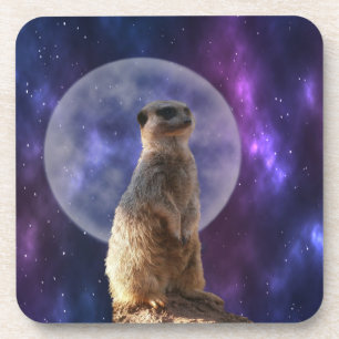 Dessous-de-verre Meerkat Et Pleine lune,