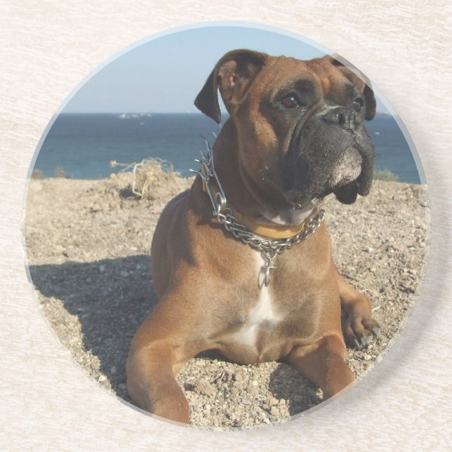 Dessous de verre mignons de chien de boxeur (Devant)