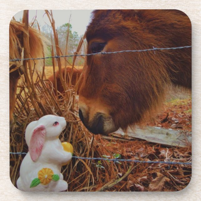 Dessous-de-verre Miniature cheval Brown et lapin de Pâques (Devant)