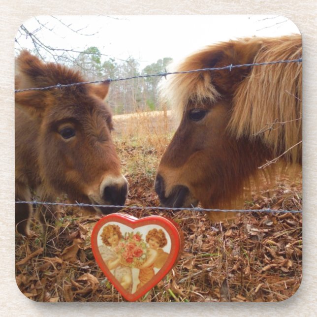 Dessous-de-verre Miniature Donkey & Horse Valentine Heart (Devant)