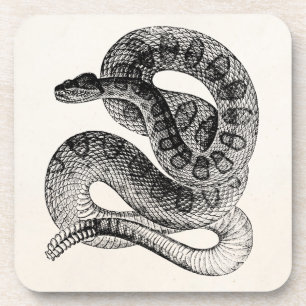 Dessous-de-verre Modèle vintage de serpent de reptile de serpent 