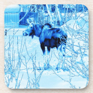 Dessous-de-verre Moose urbaine
