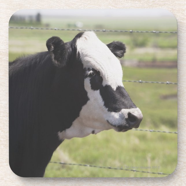 Dessous-de-verre Moseleigh, Alberta, Canada (Devant)