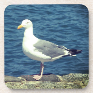 Dessous-de-verre Mouette Sur La Baie