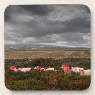 Dessous-de-verre Moutons colorés