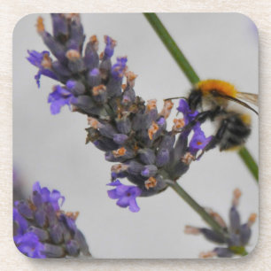 Dessous-de-verre Natures de merveilleux travailleurs