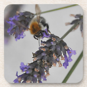 Dessous-de-verre Natures de merveilleux travailleurs