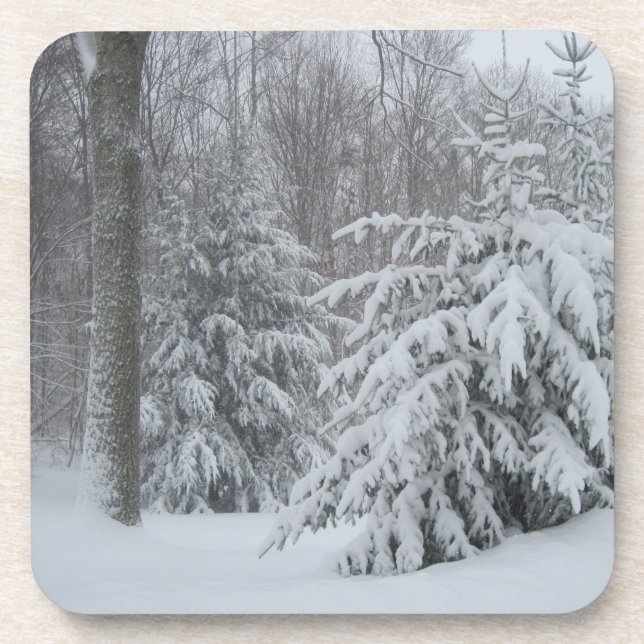 Dessous de verre neige (Devant)