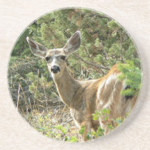 Dessous de verre noirs de cerfs communs de queue