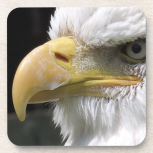 DESSOUS-DE-VERRE OISEAU D'AGLE