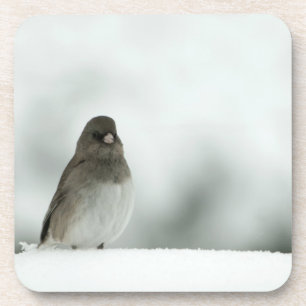 Dessous-de-verre Oiseau d'hiver