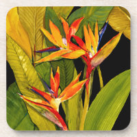 Oiseau du Paradis
