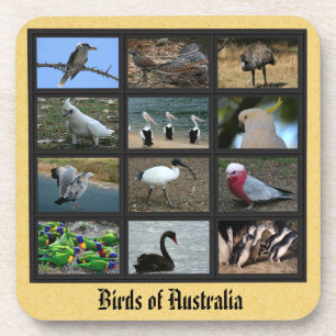 Dessous-de-verre Oiseaux australiens