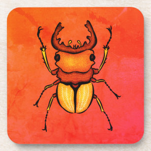 Dessous-de-verre Orange Beetle Goblincore Entomologie Insect Lover