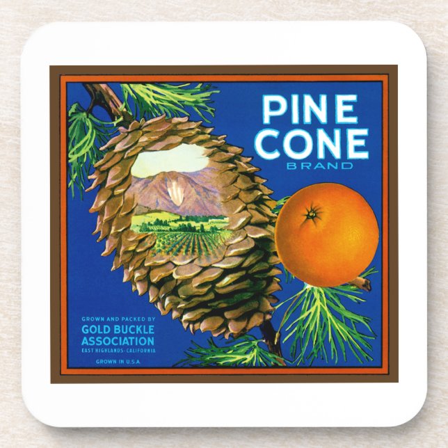 Dessous-de-verre Oranges de cône de pin (Devant)