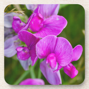 Dessous-de-verre Orchidées violettes