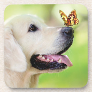 Dessous-de-verre Oreiller À Lancer Du Labrador Et Du Papillon
