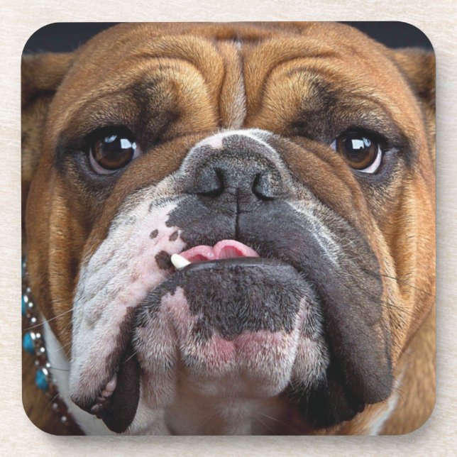 Dessous-de-verre Oreillers à lancer de Bulldog anglais (Devant)