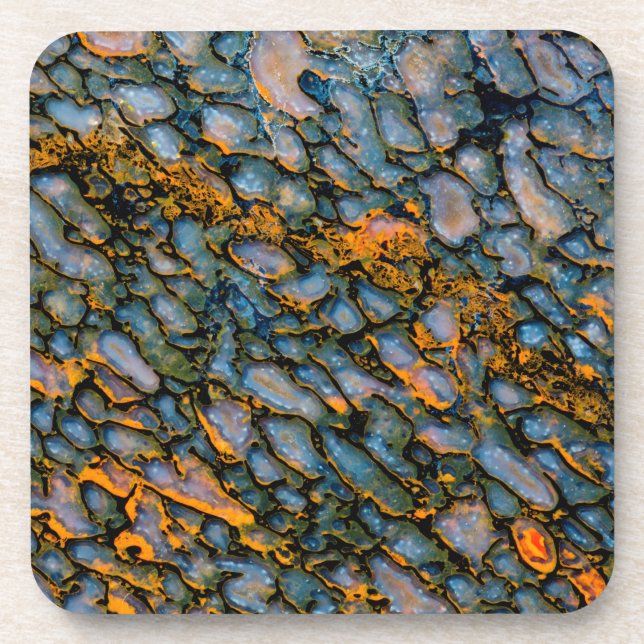 Dessous-de-verre Os de dinosaure pétrifié (Devant)