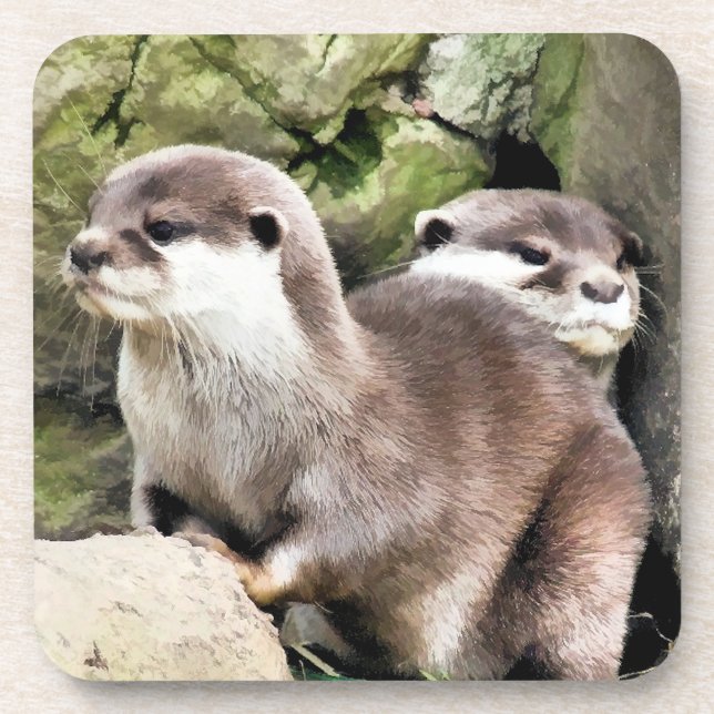 DESSOUS-DE-VERRE OTTERS (Devant)