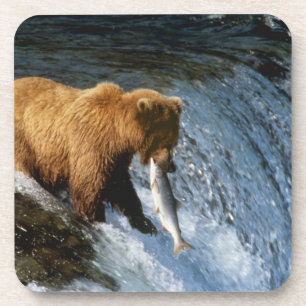 Dessous-de-verre Ours Brun d'Alaska attrapant un saumon à Brooks