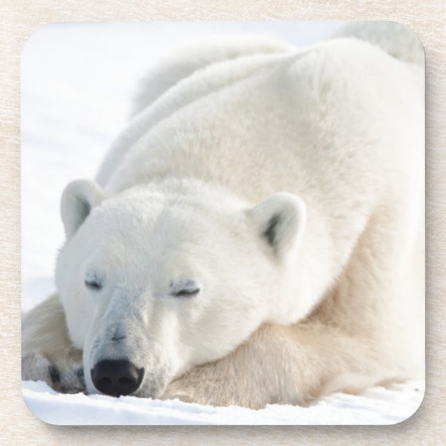 Dessous-de-verre Ours polaire en hiver (Devant)