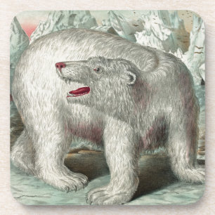 Dessous-de-verre Ours polaire vintage sur iceberg illustration hive