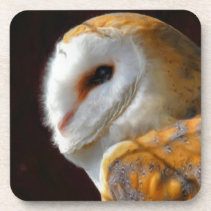 DESSOUS-DE-VERRE OWLS