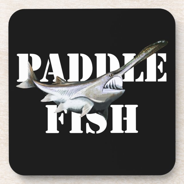 Dessous-de-verre Paddle (Devant)