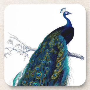 Dessous-de-verre Paon coloré élégant bleu vintage