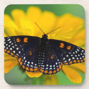 Dessous-de-verre Papillon à taches à carreaux de Baltimore