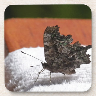 Dessous-de-verre Papillon Camouflage Sombre