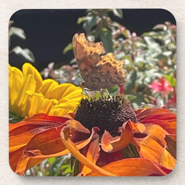 Dessous-de-verre Papillon Comma sur une fleur de Rudbeckia (Devant)