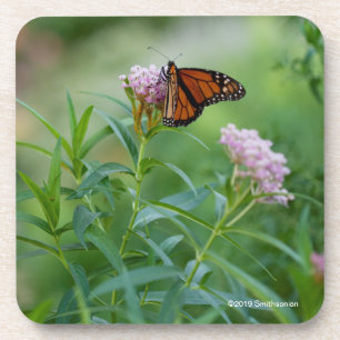 Dessous-de-verre Papillon de monarque