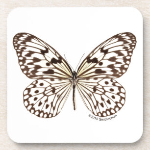 Dessous-de-verre Papillon de tigre de châtaigne