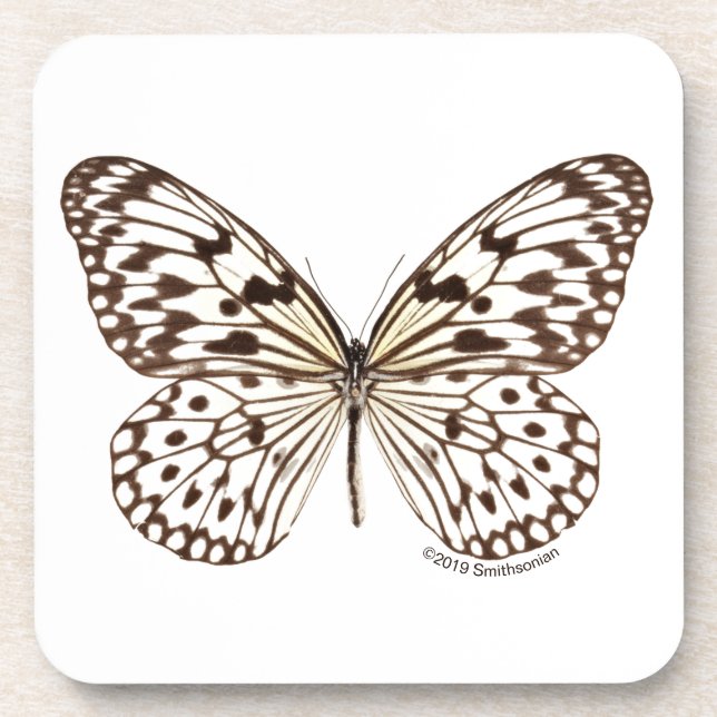 Dessous-de-verre Papillon de tigre de châtaigne (Devant)