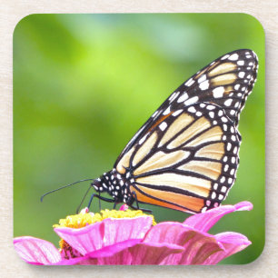 Dessous-de-verre Papillon monarque