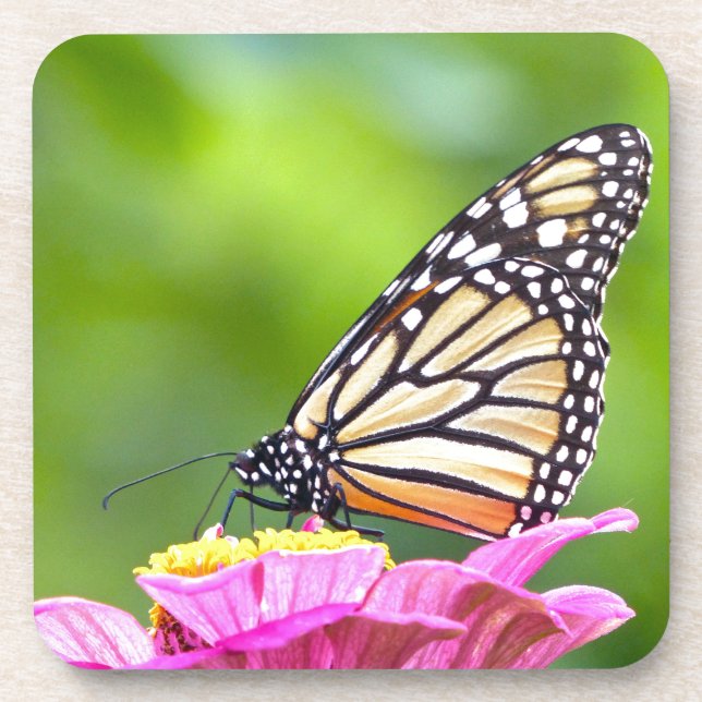 Dessous-de-verre Papillon monarque (Devant)