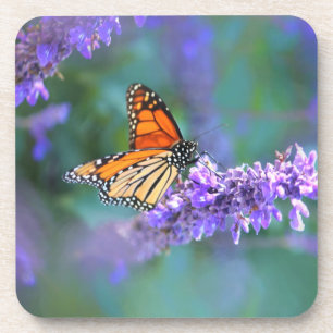 Dessous-de-verre Papillon Monarque sur Fleur violette lilas